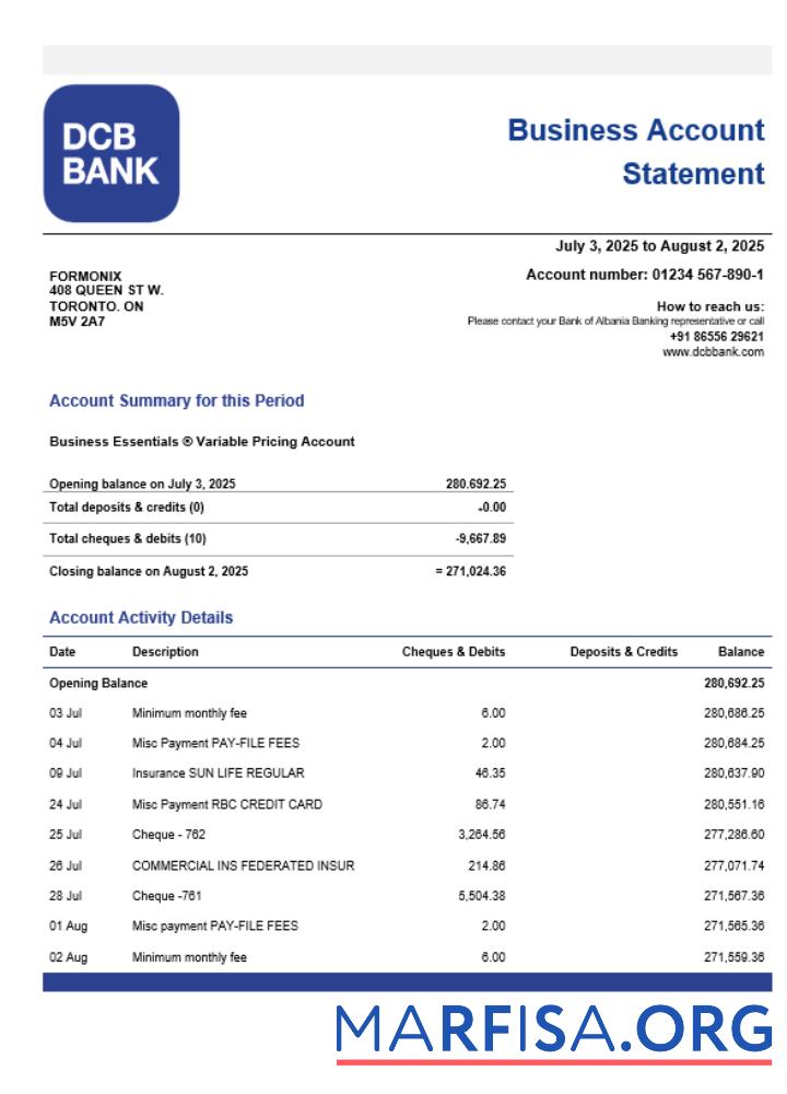 Printable India DCB business organization checking statement Word and PDF format real example